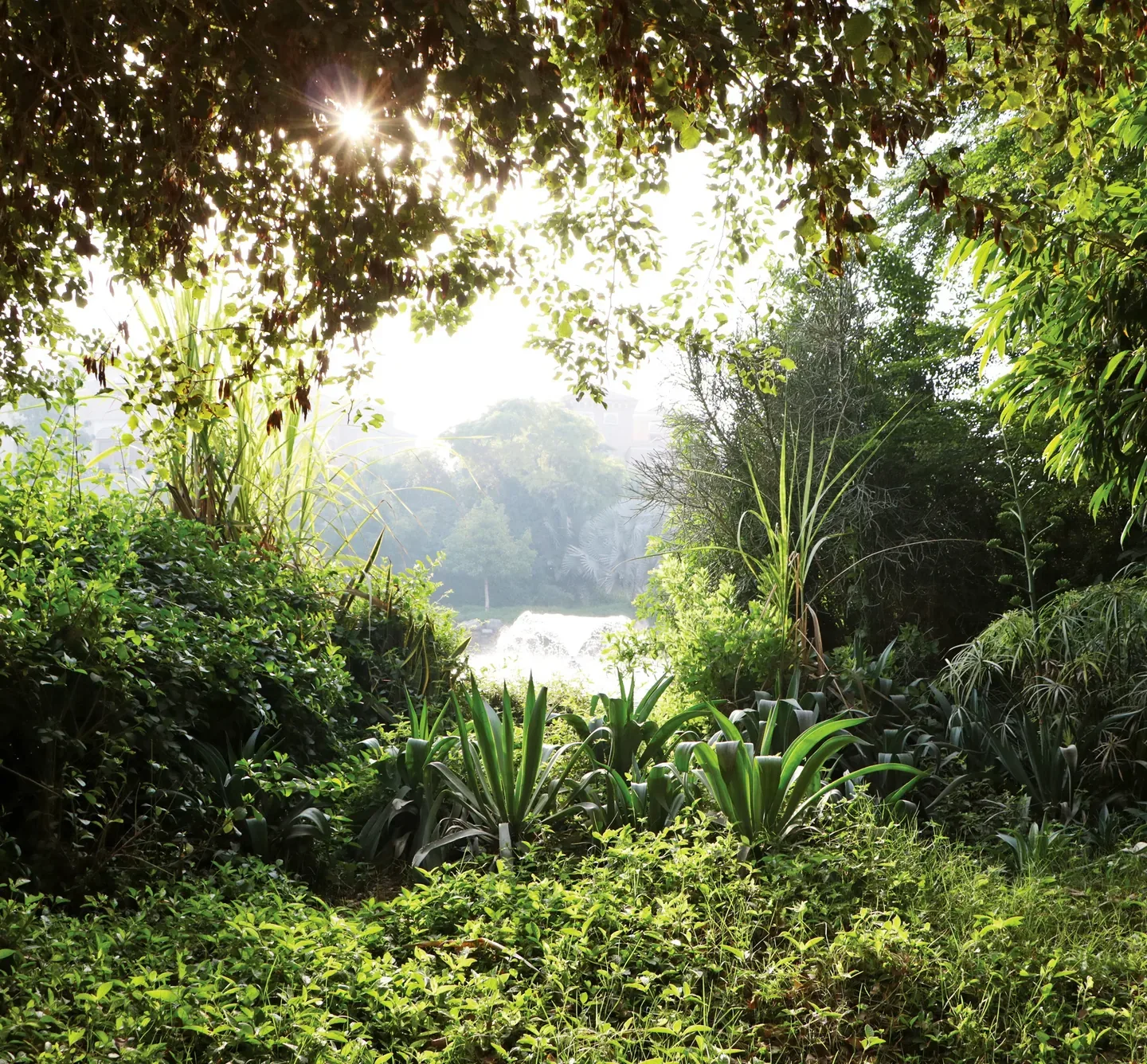 Delivered landscape at Al Barari, shown as previous work by the developer